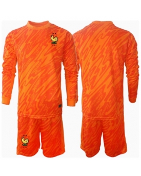 Francia Portiere Maglia Gara Trasferta Repliche Europei 2024 Bambino Maniche Lunghe